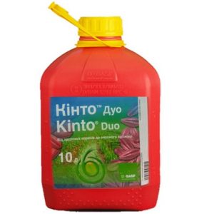 Протруйник Кінто Дуо