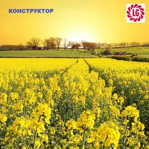 Насіння ріпаку Конструктор