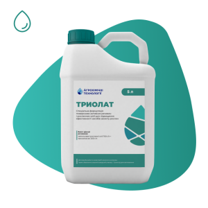 Прилипач Триолат