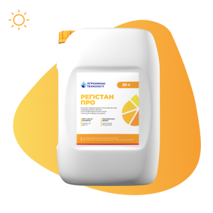 Десикант Регістан Про